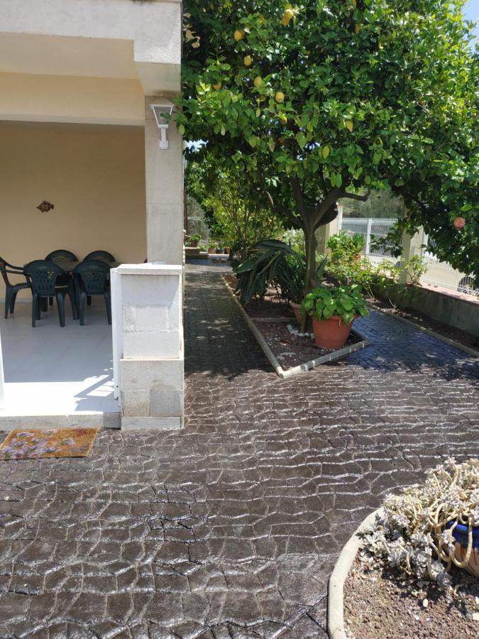 Les oliveres de l'Empordà Bellcaire d'Emporda Exterior foto